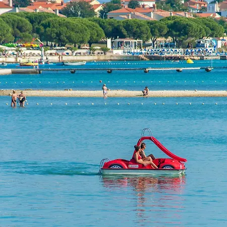 Pet Friendly In With Jacuzzi Casa vacanze